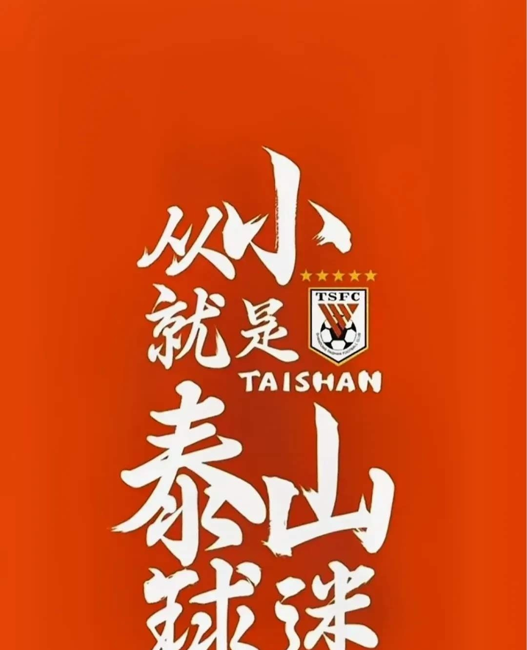 山东队取胜一场，胜利在望稳步前进一马当先的简单介绍